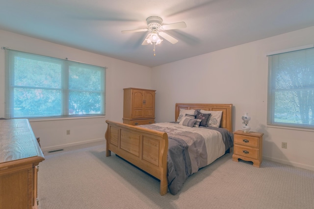 52700 Ackley Ter, Paw Paw, MI 49079 - photo 11