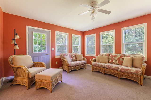 52700 Ackley Ter, Paw Paw, MI 49079 - photo 18