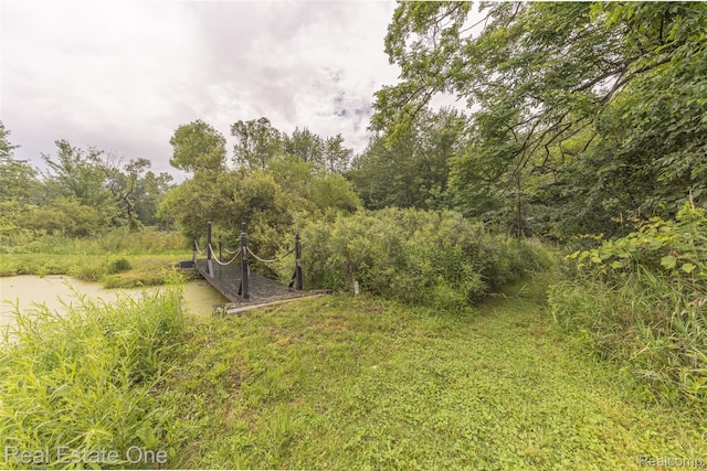 27395 Martindale Rd, New Hudson, MI 48165 - photo 36