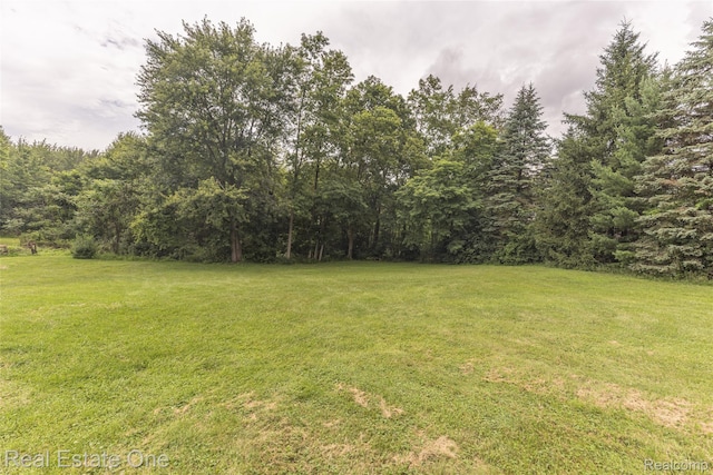 27395 Martindale Rd, New Hudson, MI 48165 - photo 68