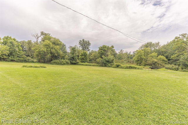 27395 Martindale Rd, New Hudson, MI 48165 - photo 56