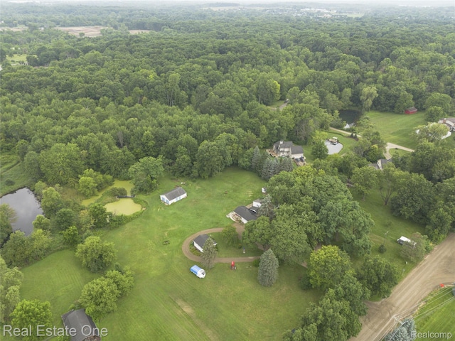 27395 Martindale Rd, New Hudson, MI 48165 - photo 77