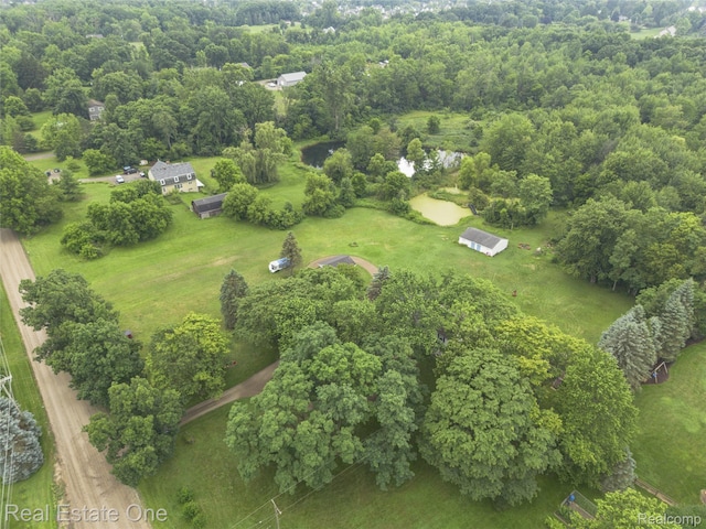 27395 Martindale Rd, New Hudson, MI 48165 - photo 74