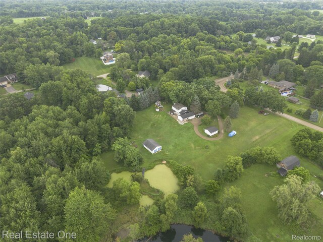 27395 Martindale Rd, New Hudson, MI 48165 - photo 78