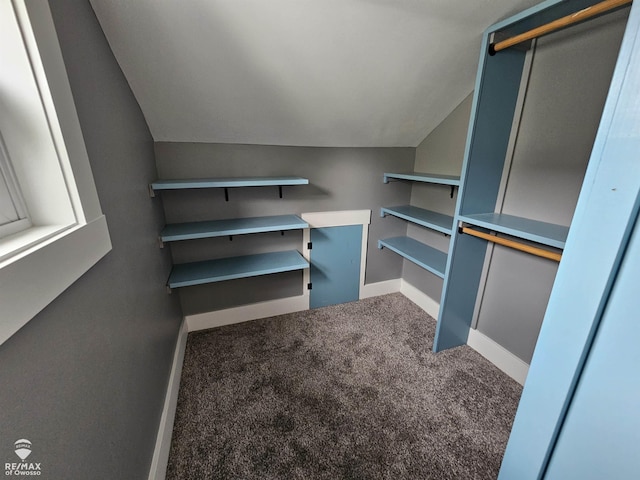 624 E Comstock St, Owosso, MI 48867 - walk in closet with vaulted ceiling and carpet floors