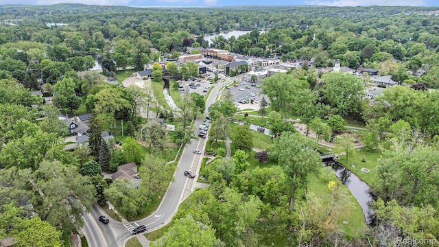 6512 White Lake Rd, Clarkston, MI 48346 - aerial view of property's location with a heavily wooded area and a large body of water