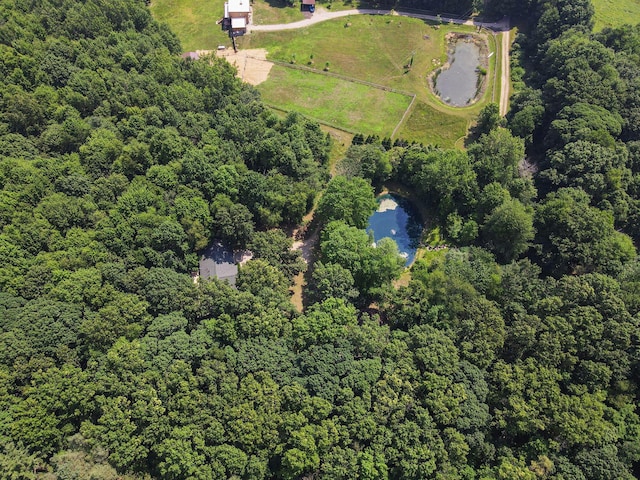 3537 Lake Ridge Ln, Allegan, MI 49010 - photo 39