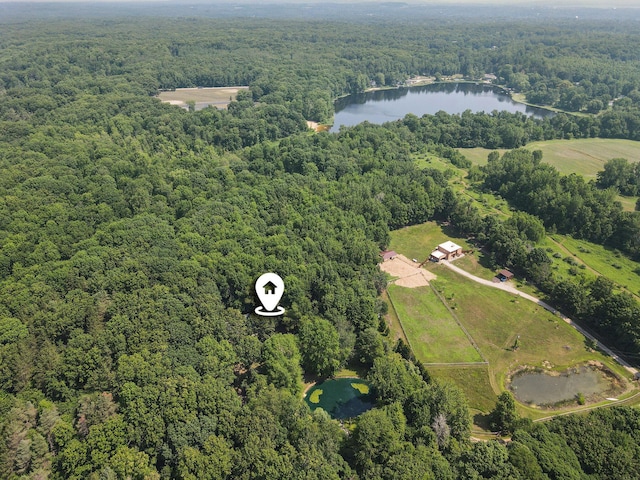 3537 Lake Ridge Ln, Allegan, MI 49010 - photo 41