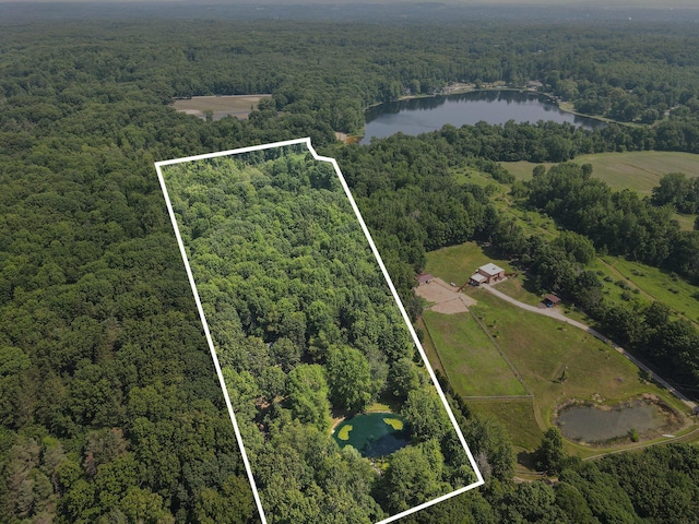3537 Lake Ridge Ln, Allegan, MI 49010 - photo 3