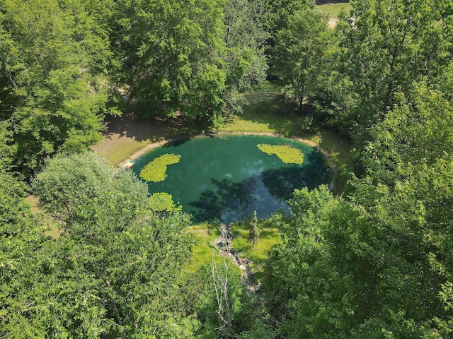 3537 Lake Ridge Ln, Allegan, MI 49010 - photo 19