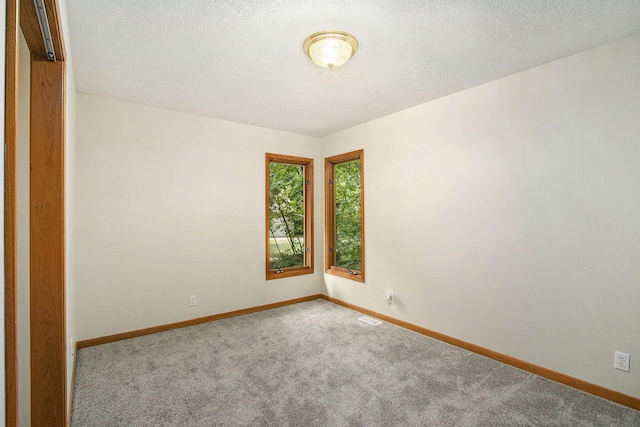 3537 Lake Ridge Ln, Allegan, MI 49010 - photo 37