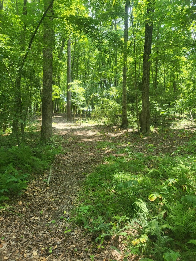 3537 Lake Ridge Ln, Allegan, MI 49010 - photo 42