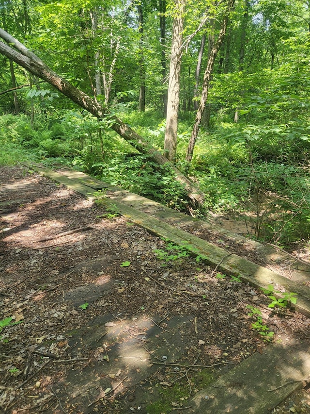3537 Lake Ridge Ln, Allegan, MI 49010 - photo 44