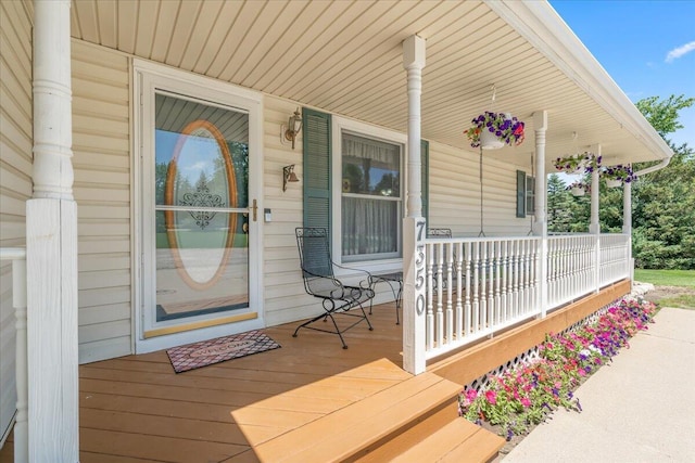 7350 N Territorial Rd, Dexter, MI 48130 - view of porch