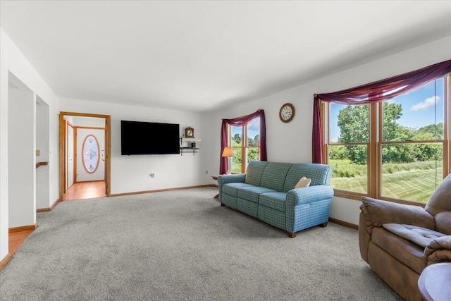 7350 N Territorial Rd, Dexter, MI 48130 - carpeted living area with baseboards