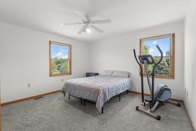 7350 N Territorial Rd, Dexter, MI 48130 - carpeted bedroom with multiple windows and a ceiling fan