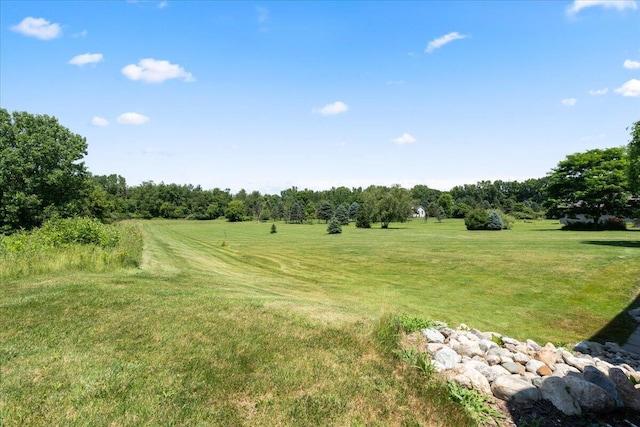 7350 N Territorial Rd, Dexter, MI 48130 - view of grassy yard