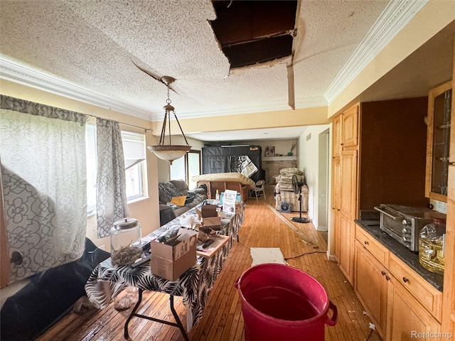 7950 Pinckney Rd, Pinckney, MI 48169 - interior space with ornamental molding, light wood-style flooring, and a textured ceiling