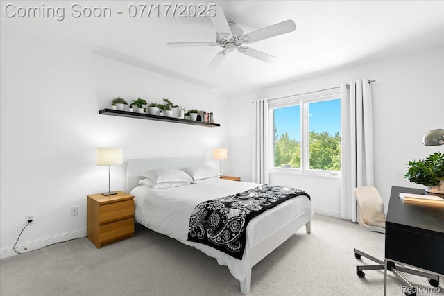 48051 Inveraray Rd, Canton, MI 48188 - photo 29