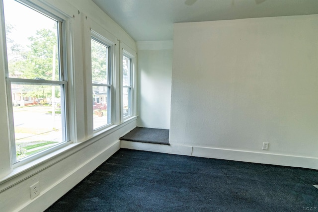422 S Winter St, Adrian, MI 49221 - empty room featuring dark carpet and baseboards