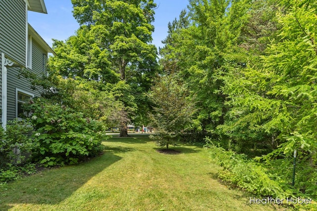 157 N Main St, Douglas, MI 49406 - photo 35