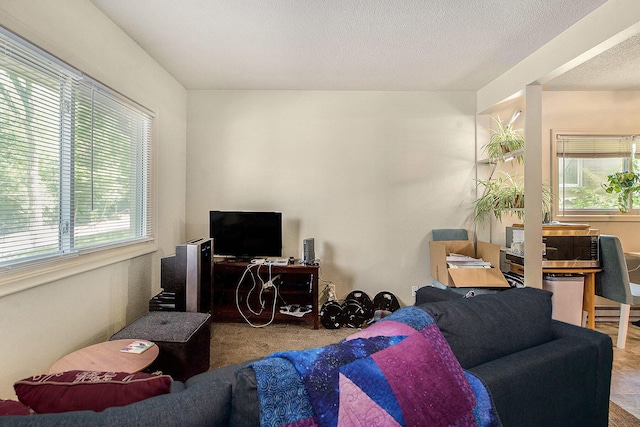2219/2221 Dexter Ave, Ann Arbor, MI 48103 - photo 8