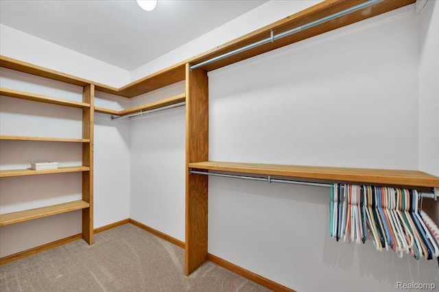 1829 Farnsworth Rd, Lapeer, MI 48446 - spacious closet with light colored carpet