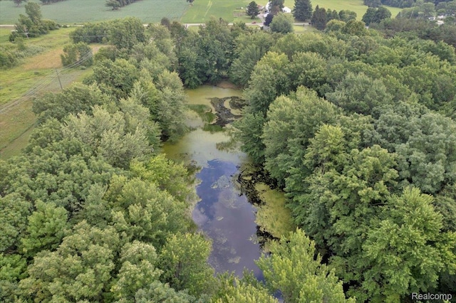 1829 Farnsworth Rd, Lapeer, MI 48446 - view of property location with rural landscape and a nearby body of water