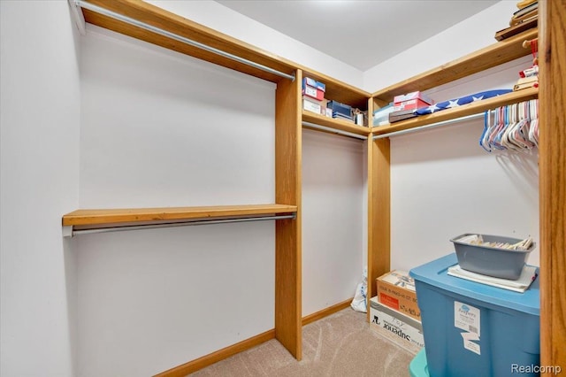 1829 Farnsworth Rd, Lapeer, MI 48446 - walk in closet with carpet flooring