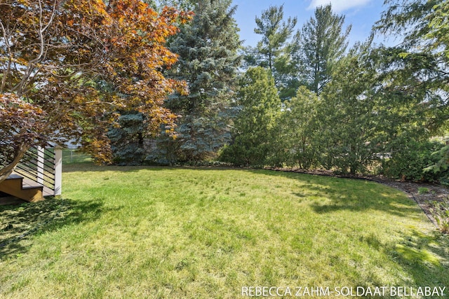 3520 Auburn Ave NE, Grand Rapids, MI 49525 - view of green lawn