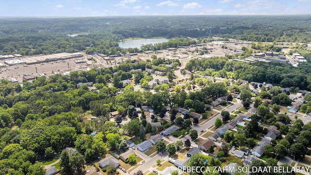 3520 Auburn Ave NE, Grand Rapids, MI 49525 - aerial view of a forest and a large body of water