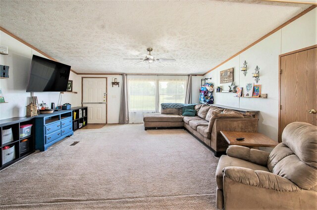9433 11 Mile Rd, Bear Lake, MI 49614 - photo 12