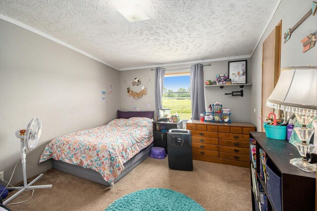 9433 11 Mile Rd, Bear Lake, MI 49614 - photo 17
