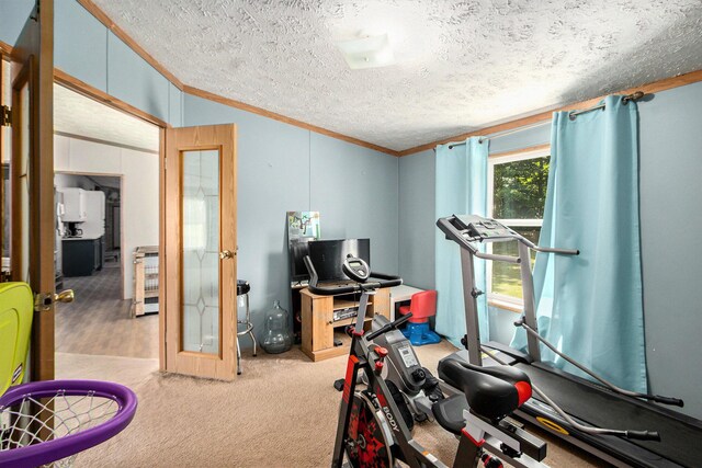 9433 11 Mile Rd, Bear Lake, MI 49614 - photo 20