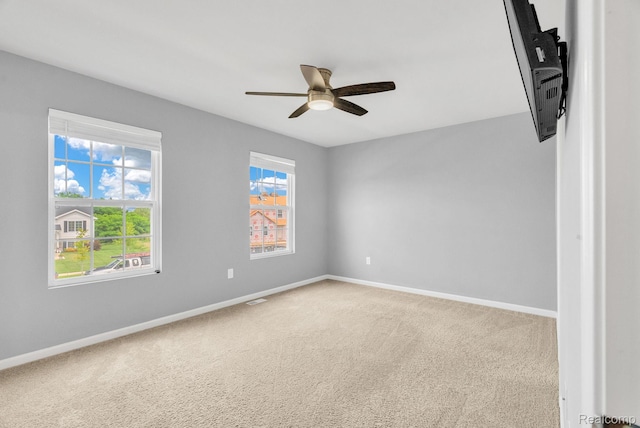 7019 Marigold Ct, Grand Blanc, MI 48439 - photo 24