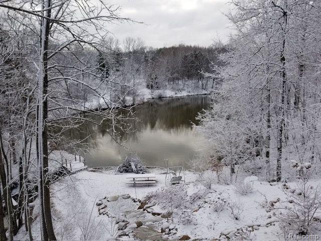 4693 Hegel Rd, Goodrich, MI 48438 - photo 48