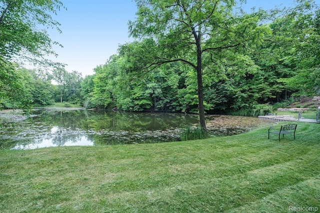 4693 Hegel Rd, Goodrich, MI 48438 - photo 35