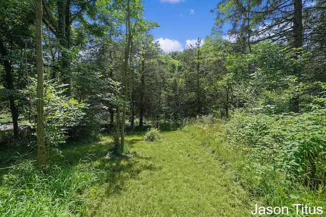 1673 Nashville Rd, Hastings, MI 49058 - photo 38