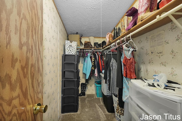 1673 Nashville Rd, Hastings, MI 49058 - photo 20