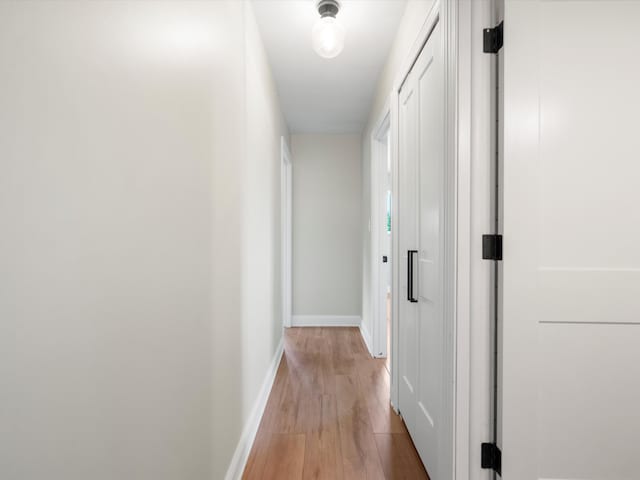 1140 Wing Dr, Ann Arbor, MI 48103 - hall with light wood finished floors and baseboards