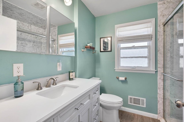 923 Par 4 Rd, Kalamazoo, MI 49008 - bathroom with vanity, plenty of natural light, an enclosed shower, and wood finished floors