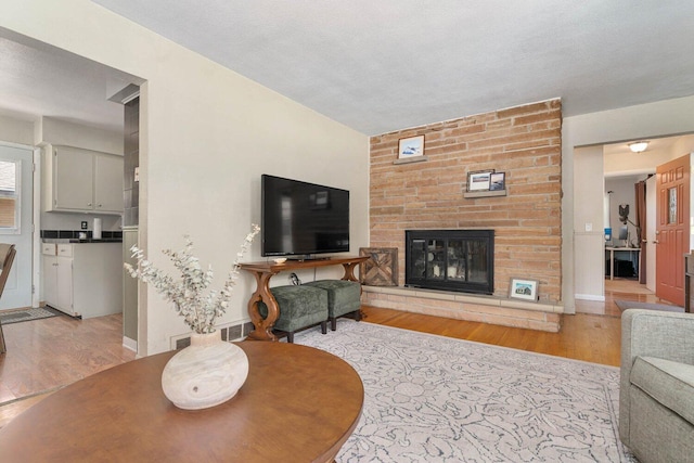923 Par 4 Rd, Kalamazoo, MI 49008 - living area featuring light wood-type flooring and a fireplace