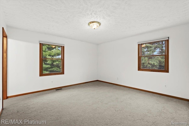 6893 Sanford Rd, Howell, MI 48855 - unfurnished room with healthy amount of natural light, carpet floors, and a textured ceiling