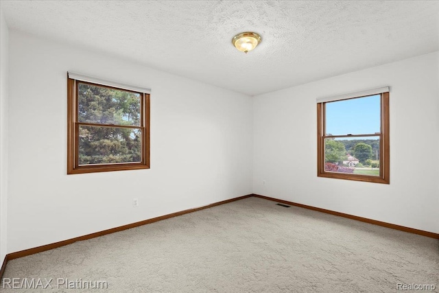 6893 Sanford Rd, Howell, MI 48855 - carpeted spare room with plenty of natural light and a textured ceiling