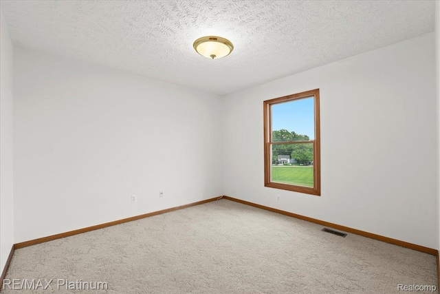 6893 Sanford Rd, Howell, MI 48855 - spare room with carpet floors and a textured ceiling