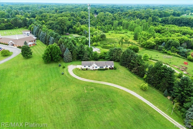 6893 Sanford Rd, Howell, MI 48855 - bird's eye view of a forest
