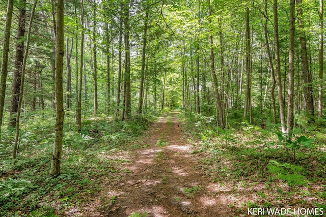 3231 E Baker Rd, Hesperia, MI 49421 - view of woods
