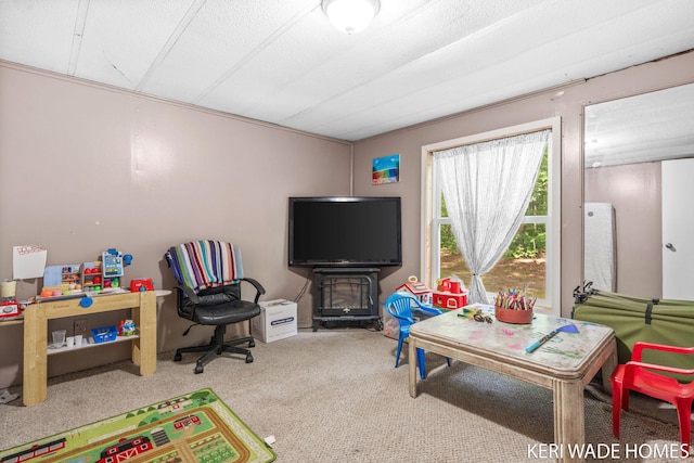 3231 E Baker Rd, Hesperia, MI 49421 - game room with carpet floors