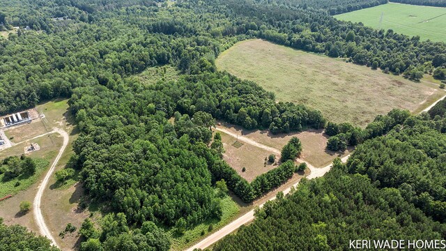 3231 E Baker Rd, Hesperia, MI 49421 - overview of rural landscape with a forest