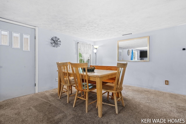 3231 E Baker Rd, Hesperia, MI 49421 - carpeted dining area featuring a textured ceiling